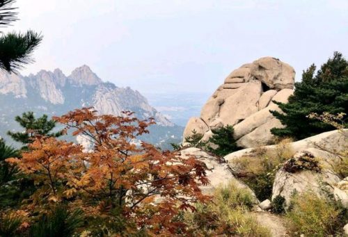 山东与江苏，那座沿海城市，风景最好